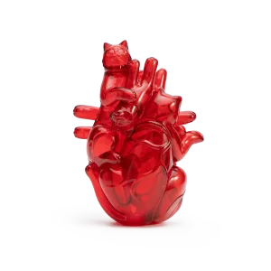 Cat Heart Sofubi-four distinct kitties merge to form a translucent human heart