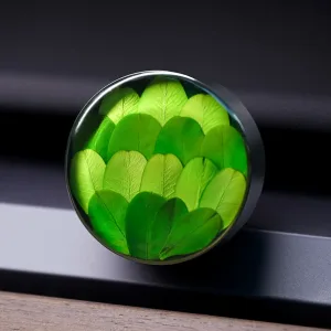 Real Plant Specimen Car Diffuser-Handcrafted with natural Boxwood leaves encased in clear resin, ensuring every piece features a unique shape and color.