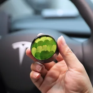 Real Plant Specimen Car Diffuser-Handcrafted with natural Boxwood leaves encased in clear resin, ensuring every piece features a unique shape and color.