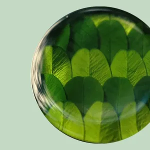 Real Plant Specimen Car Diffuser-Handcrafted with natural Boxwood leaves encased in clear resin, ensuring every piece features a unique shape and color.