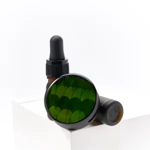 Real Plant Specimen Car Diffuser-Handcrafted with natural Boxwood leaves encased in clear resin, ensuring every piece features a unique shape and color.