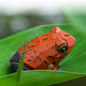Strawberry Poison Dart Frog Paper Model-Bring the rainforest to your desk by assembling this vibrant, lifelike frog from 127 pieces of eco-friendly kraft paper